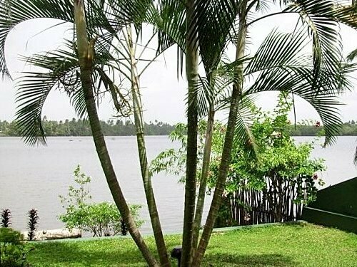 Riverside Inn Fuji, Забронировать Гостевой дом Гостевые дома Округа Коломбо, Гостевой дом