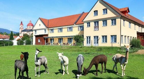 JUFA Hotel Pöllau, Rezerwuj Hotel Poellau Joglland-Waldheimat