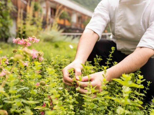 Theiner’s garten the bio vitalhotel, Забронировать Отель Бизнес-отели Bolzano and surroundings, 4* 5*