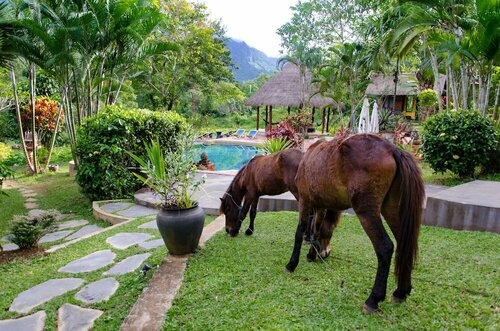 Hillside - Nature Lifestyle Lodge, Reservar Hotel Hotéis em Luang Prabang com Piscina, Piscina