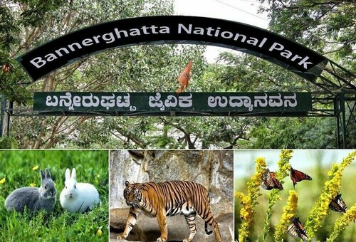 Hotel Geo, Réserver Hôtel Hôtels pas chers à Karnataka