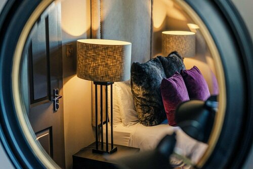 The Park Guest House, Забронировать Гостевой дом Гостевые дома Авимор, Гостевой дом