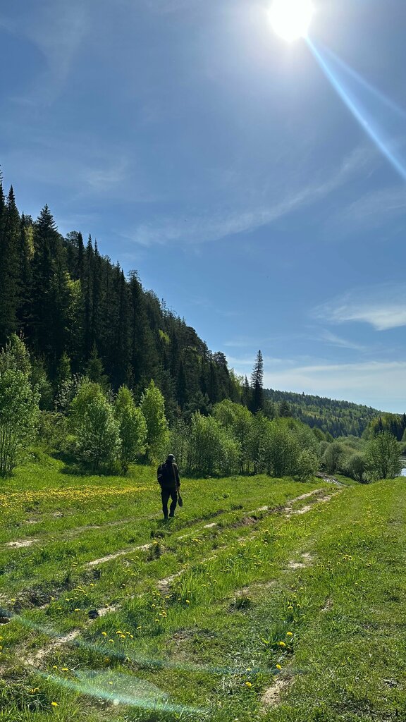 Лесная гармония