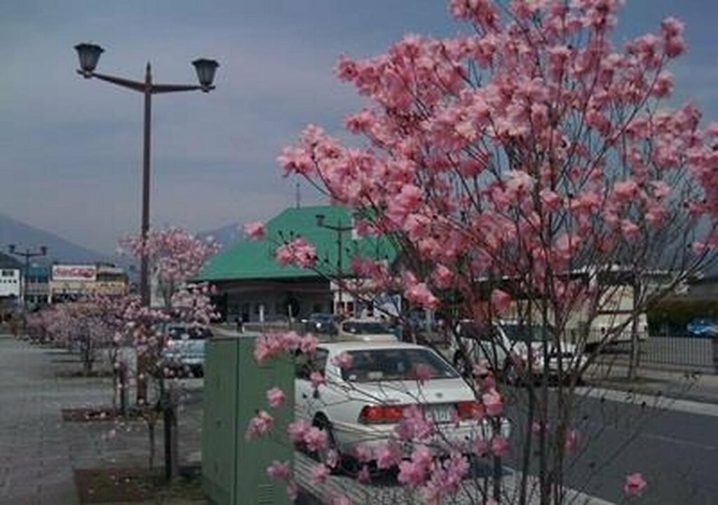 Nikko Park Lodge