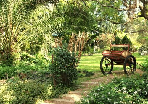 Homestead B & B, Book Bed and Breakfast Hoteller i Eastern Cape med morgenmad, Morgenmad