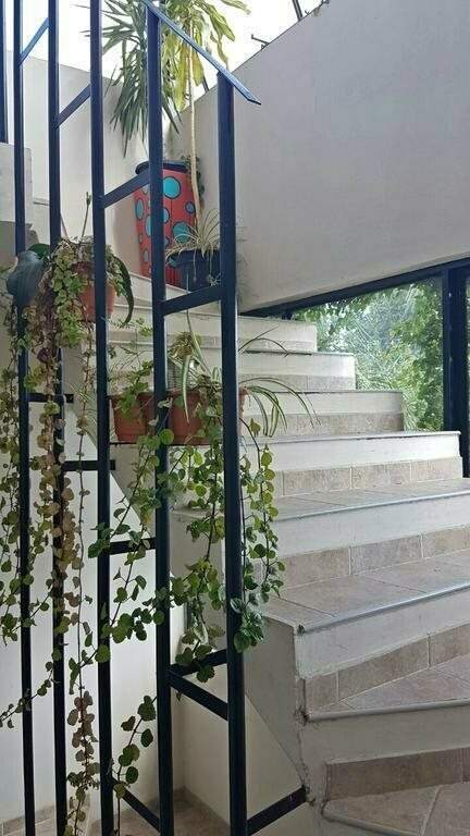 Guest House Jujuy