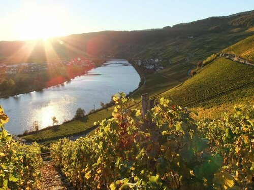 Weingut Lehnert-Veit Gutshotel, Забронировать Отель Писпорт Хунсрюк