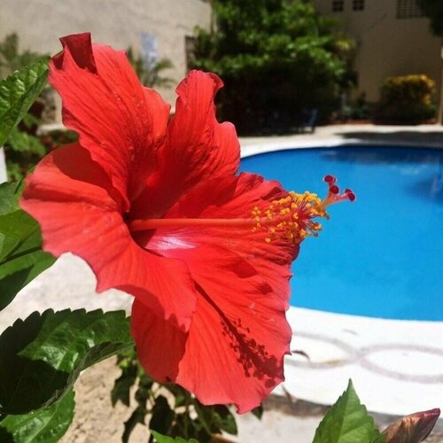 Villas Los Ángeles, Rezervasyon Villa Acapulco otoparklı oteller, Otopark