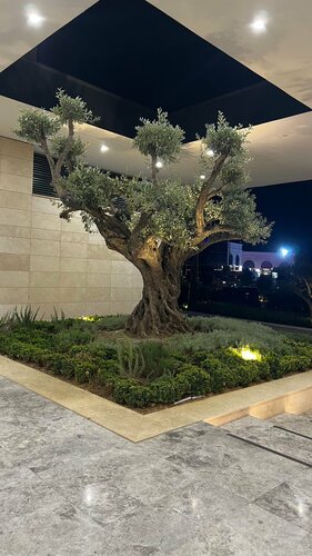 Mercure Antalya Belek, Забронировать Отель СПА-отели Антальи, SPA-услуги