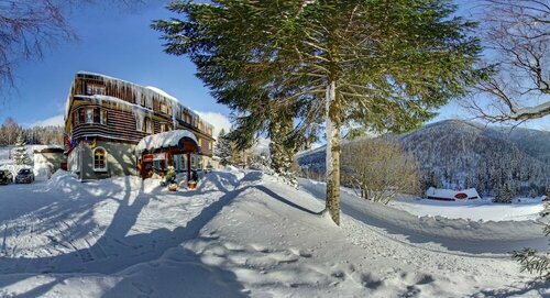 Alpský Hotel, Забронировать Отель СПА-отели Краловеградецкий края, SPA-услуги