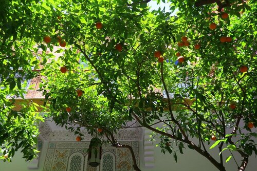 Ryad El Borj, Забронировать Отель Отели Марракеша с завтраком, рядом с Музей марокканского искусства, Завтраки