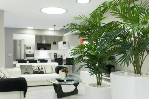 Apartamento Lagun Concha Beach, Забронировать Апартаменты/квартира Апартаменты Costa Guipúzcoa, Апартаменты/квартира