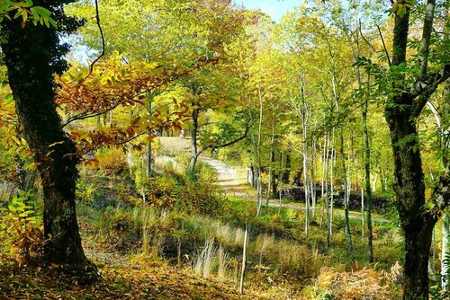 Agriturismo Bio I Rondinelli, Book Landbrugsophold Hoteller i Arcidosso med parkering, Parkering