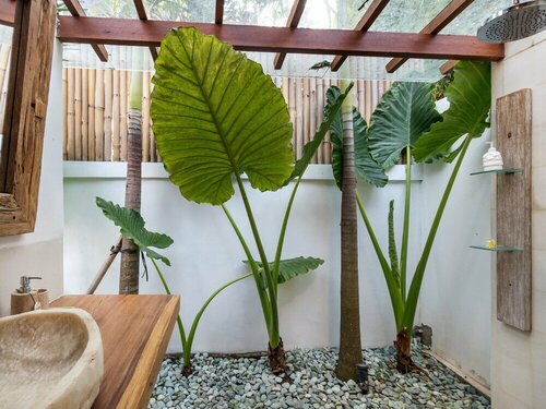 Villa Waterlily by Villa Finder, Boek Villa Hotels in Bali met zwembad, Zwembad