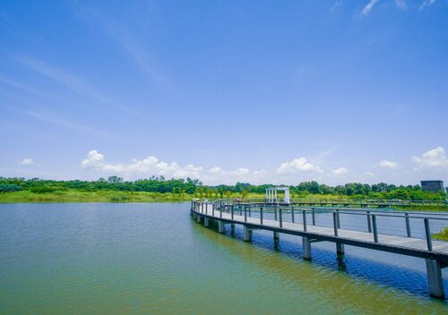 Hotel COZi Wetland, 预订 酒店 香港島 中国