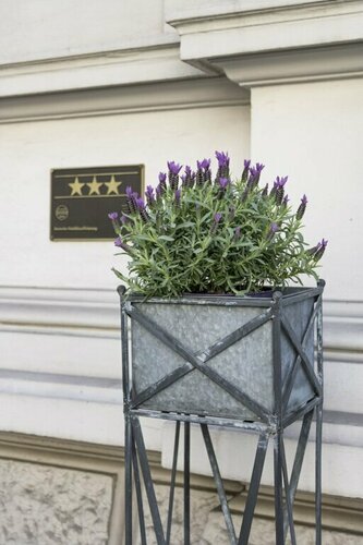 Villa Esplanade, Забронировать Отель Вестштадт Бонн