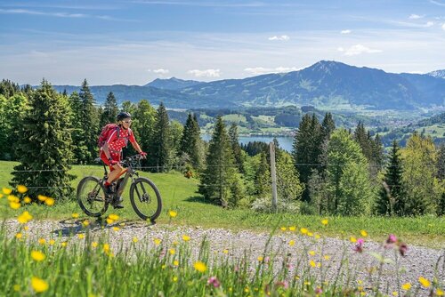 Kur- und Sporthotel Bad Hindelang, Book Hotel SPA-hoteller i Bayern, SPA
