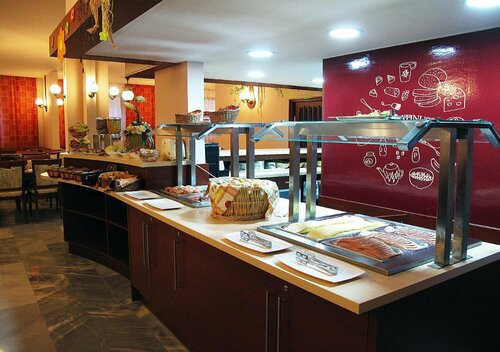 Palatinus Hotel, Book Hotel Hoteller i Gyor-Moson-Sopron med parkering, Parkering