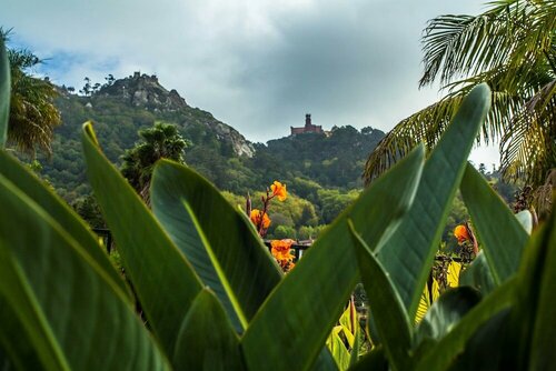 Casa do Valle, Забронировать Гостевой дом Синтра Sintra-Cascais Natural Park