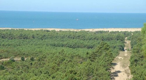 La Foret dArmotte, Prenota Hotel Hotel SPA a Aquitania, SPA