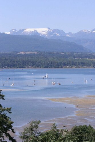 Bayview Hotel, Prenota Hotel Courtenay 