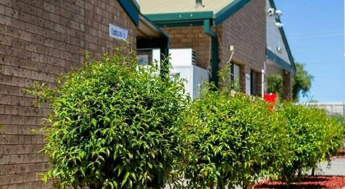 Echo Holiday Parks - Windsor Gardens, Забронировать Курортный отель Отели Аделаиды с парковкой, Парковка