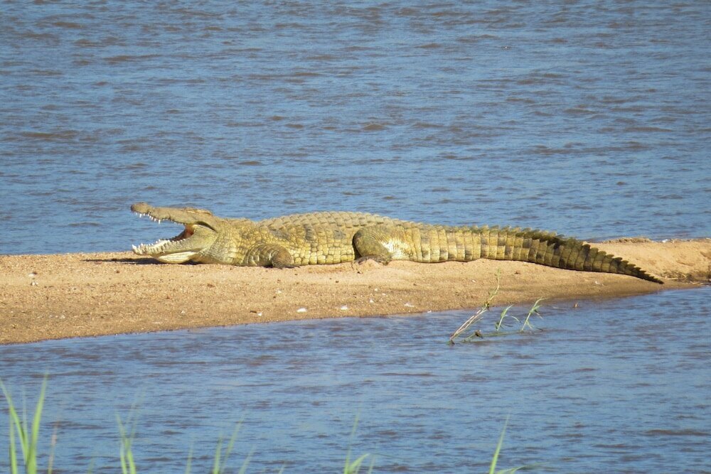 Crocodile Bridge Safari Lodge