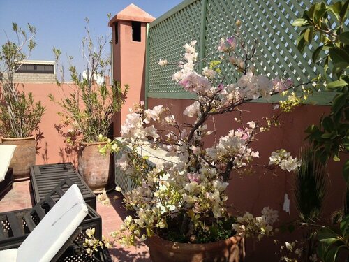 Riad Mariana, Prenota Hotel Hotel SPA a Marrakech-Safi, SPA
