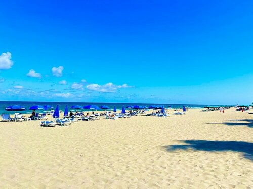 Ocean Beach Palace, Забронировать Отель Отели в центре Лодердейл-бай-Си, в центре