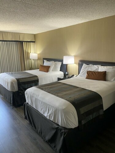 Wingate by Wyndham Springfield, Забронировать Отель Спрингфилд Washington DC Metropolitan area
