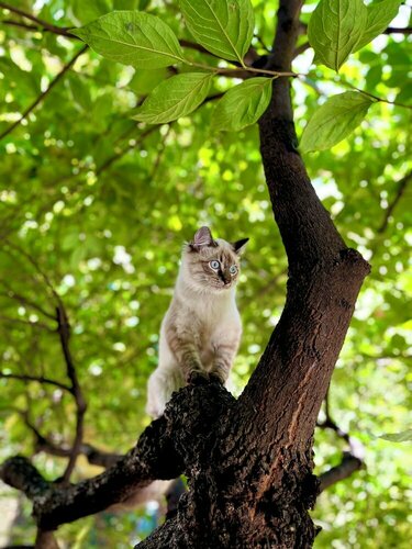 Hotel Paradiso, Брондау Қонақ үй Stazione Centrale Milan, Pasteur маңындағы