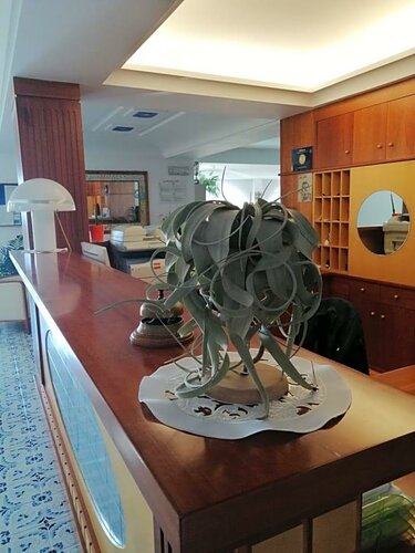 Hotel La Primavera, Забронировать Отель Масса-Лубренсе Побережье Сорренто