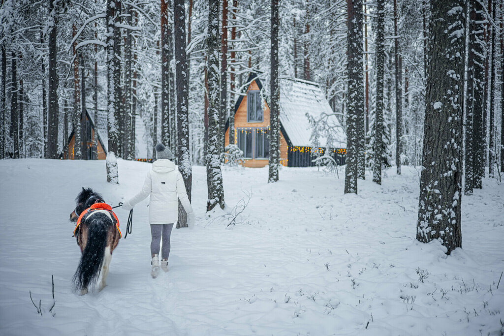 Хвоя