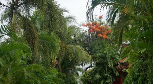 Baan Suan Palm Resort, Забронировать Курортный отель Отели Северного Таиланда с завтраком, Завтраки