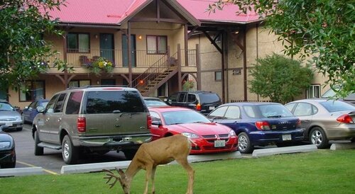 Aspen Village Inn, Book Hotel Waterton Park Alberta