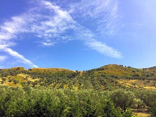 B&B MULA Germaneto, Book Bed and Breakfast Hotels in Calabria with Breakfast, Breakfasts