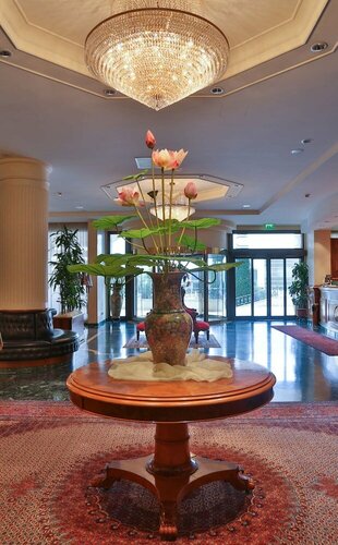 Best Western Hotel Globus City, Book Hotel Forlì Emilia-Romagna