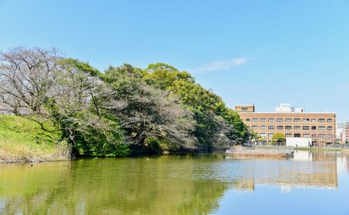 Daiwa Roynet Hotel Hakata-Gion, Prenota Hotel Hotel a Kyushu con parcheggio, Parcheggio