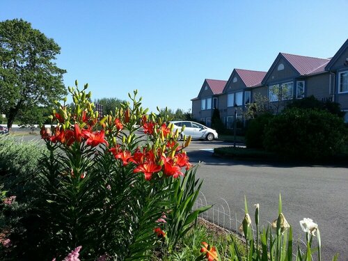 Granite Town Hotel, Rezervovat Hotel Saint George 