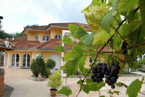 Hostellerie Bacher, Забронировать Отель Нойнкирхен земля Саар