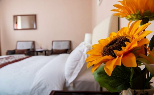 Mika Hotel, Забронировать Отель Отели Улан-Батора 3 звезды, рядом с The Museum of Natural History Ulaanbaatar, 3*