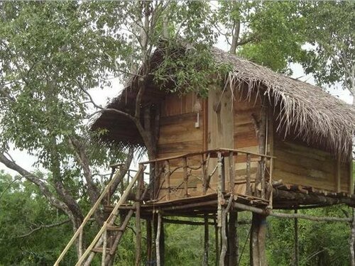 Tree house sigiri queens rest, Забронировать Отель Отели Сигирия 3 звезды, рядом с Скала Пидурангала, 3*