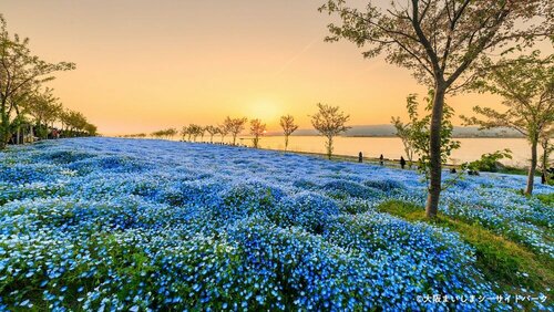 Hyatt Regency Osaka, Book Hotel SPA-hoteller i Osaka Prefecture, SPA
