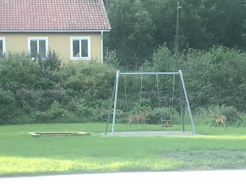 Klackbergsgården, Забронировать Отель Отели Вестманланд с завтраком, Завтраки
