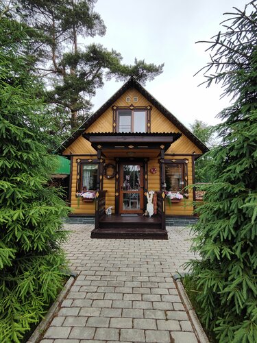 Dom Shishki Guest House, Book Pension Plyos Privolzhsky District