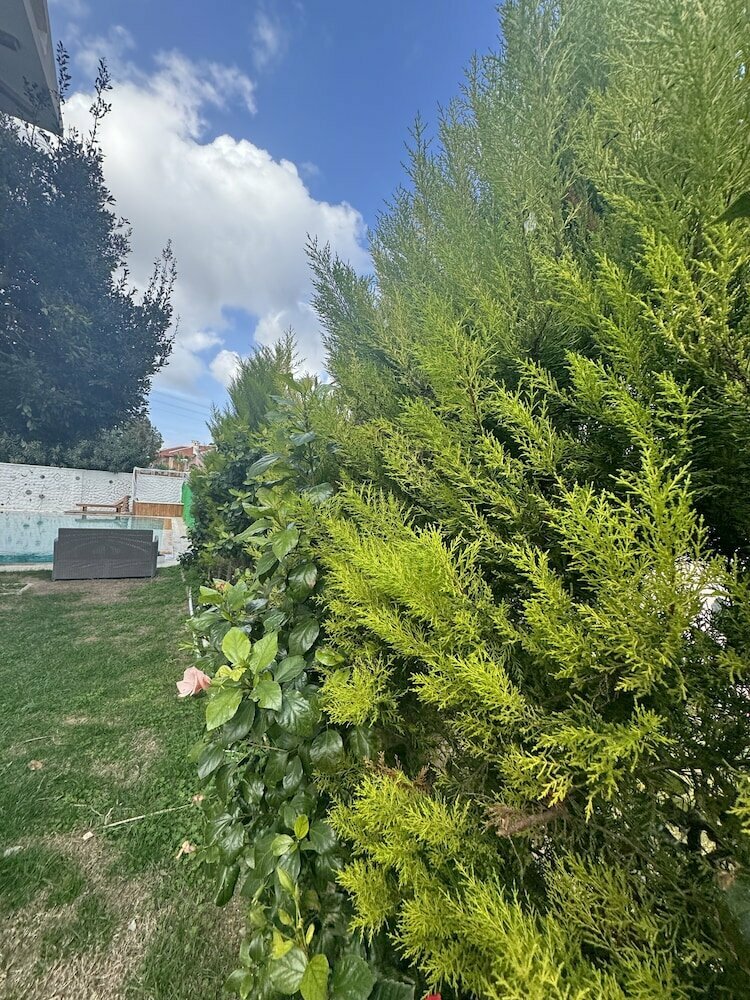 Flora Boheme