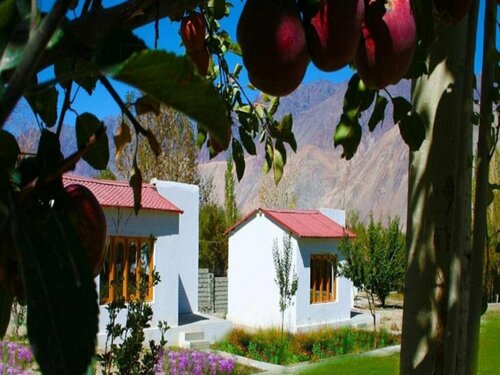 Una Comfort Great Himalayan Adventure Reosrt