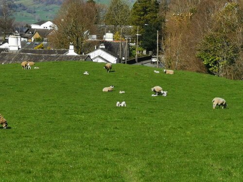 Brooklands Guest House, Book Hotel Hoteller i Cumbria med parkering, Parkering