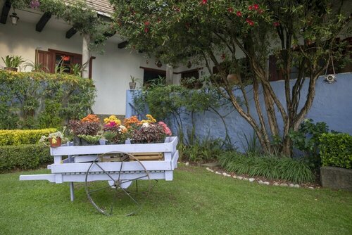 La Casa Azul Huasca & Restaurante La Terraza, Book Bed and Breakfast Huasca de Ocampo Hidalgo