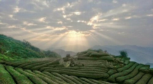 Yamaya B&B, Boek Bed and Breakfast Alishan Chiayi